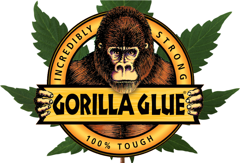 Gorilla Glue Gorilla Glue