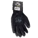PTI0195 4.webp