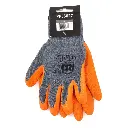 PTI0188 1.webp
