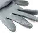 PTI0221 3.webp