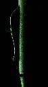 3030_dry_newfeature_4_MASTER.webp