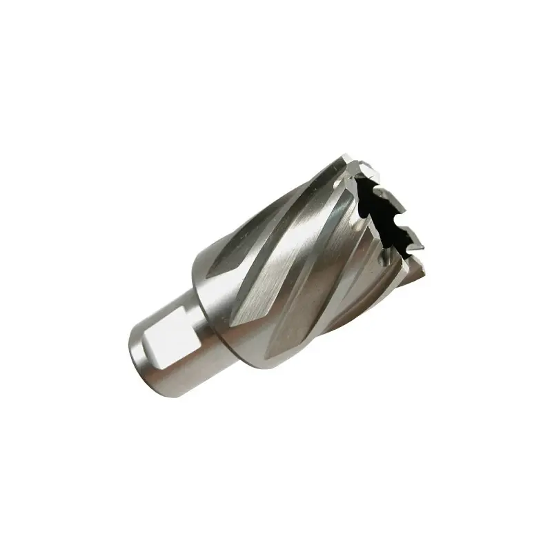 [PTIU12] PTI Annular Cutters (12.00mm, 25mm)