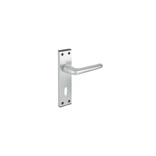[NON-AIALC2021A157] SAA LEVER LOCK HANDLES FACE FIX B/P